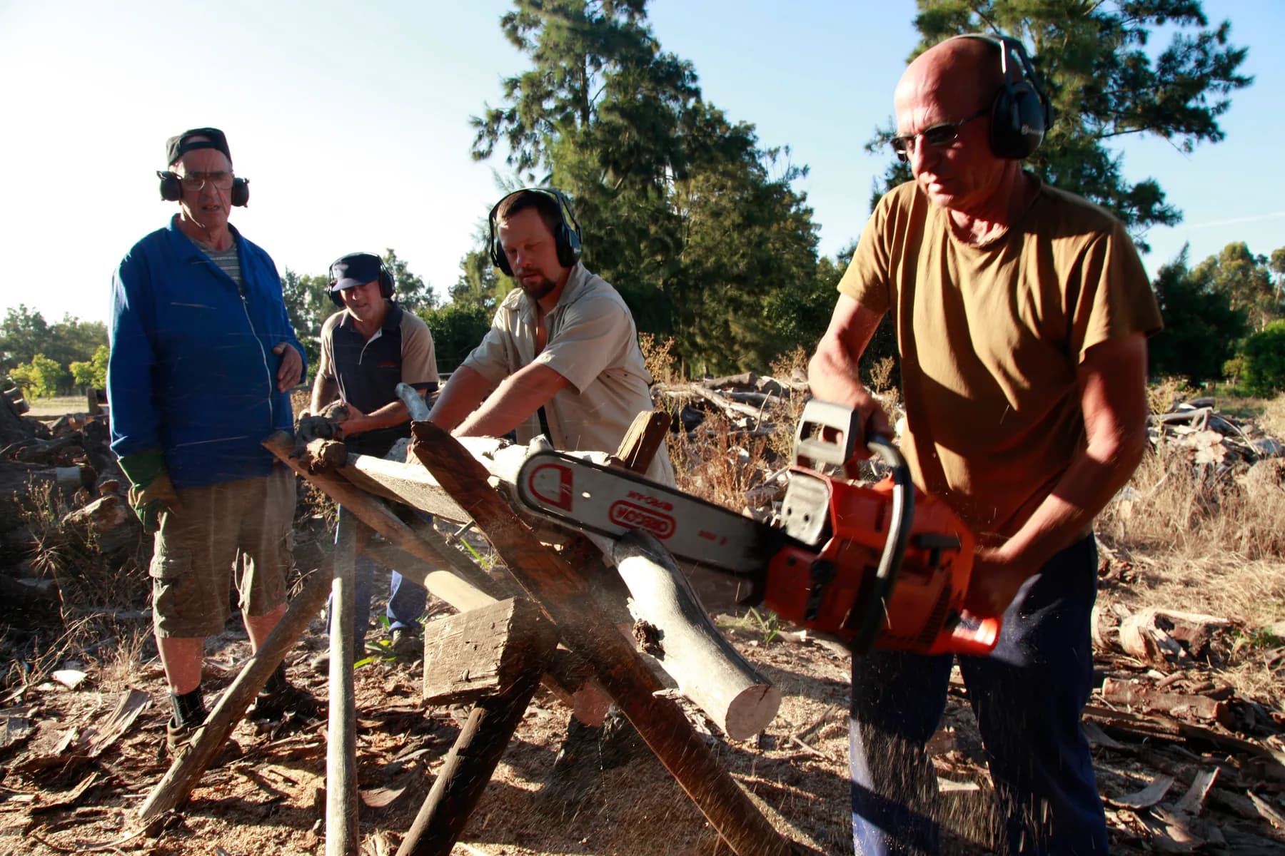 Four men in ear defenders working around a sawhorse, one cutting a log to length with a chainsaw in the late afternoon light.