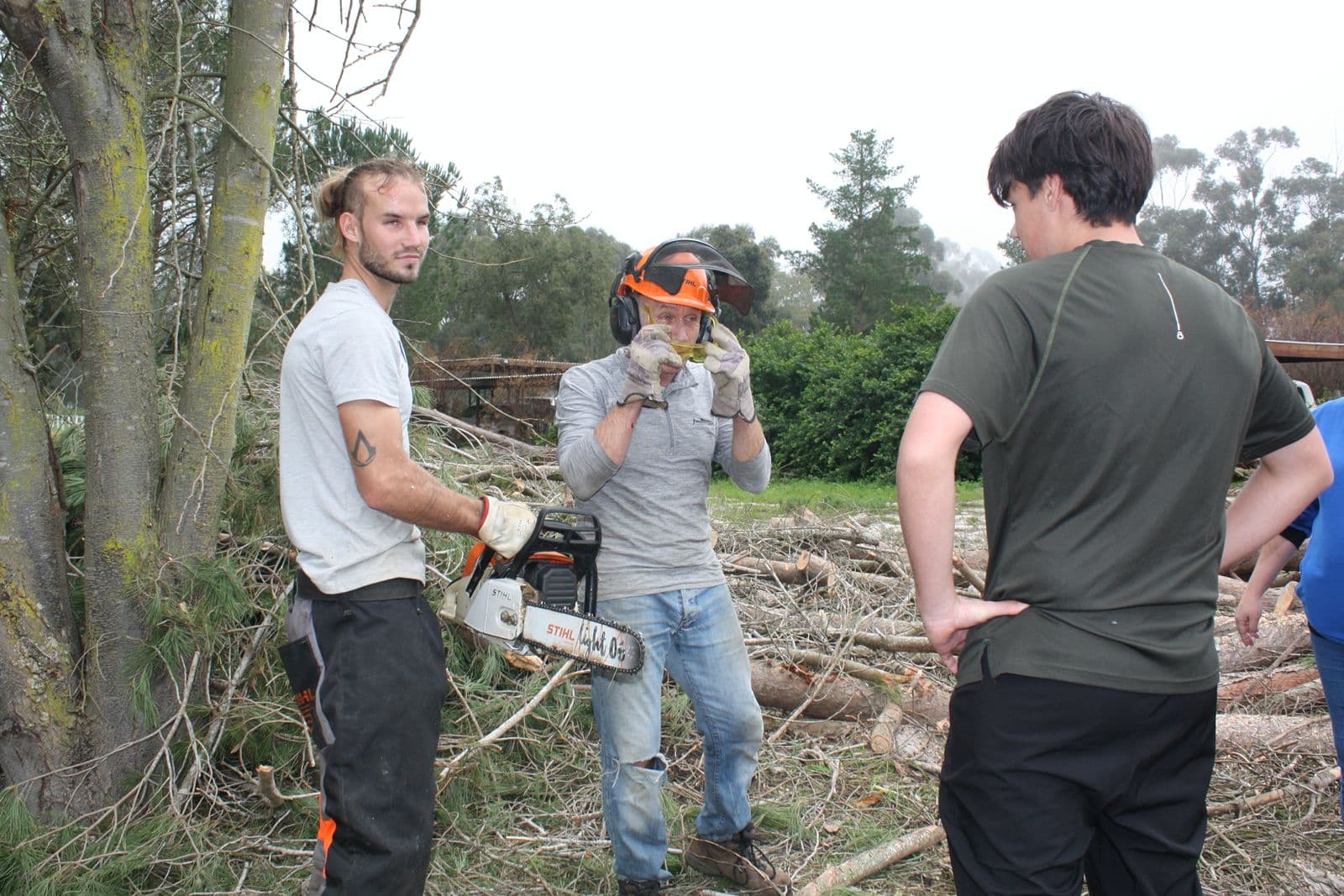 3 men clearing trees